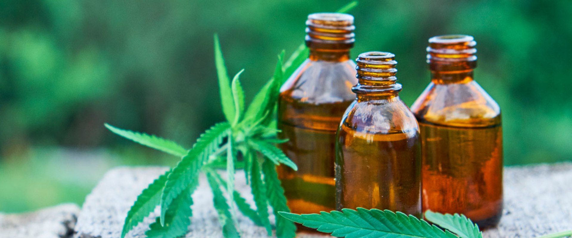 The Truth About CBD: An Expert's Perspective