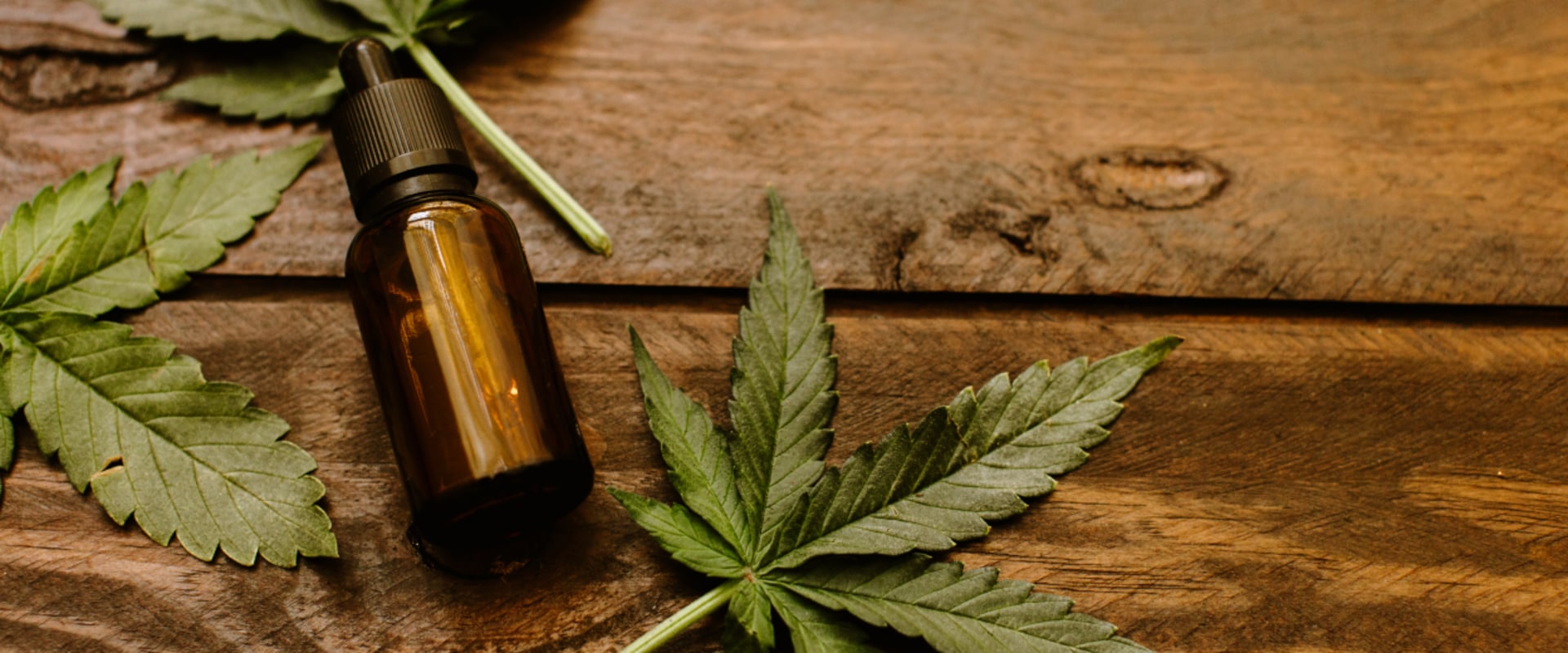 CBD vs Medical Marijuana: What You Need to Know