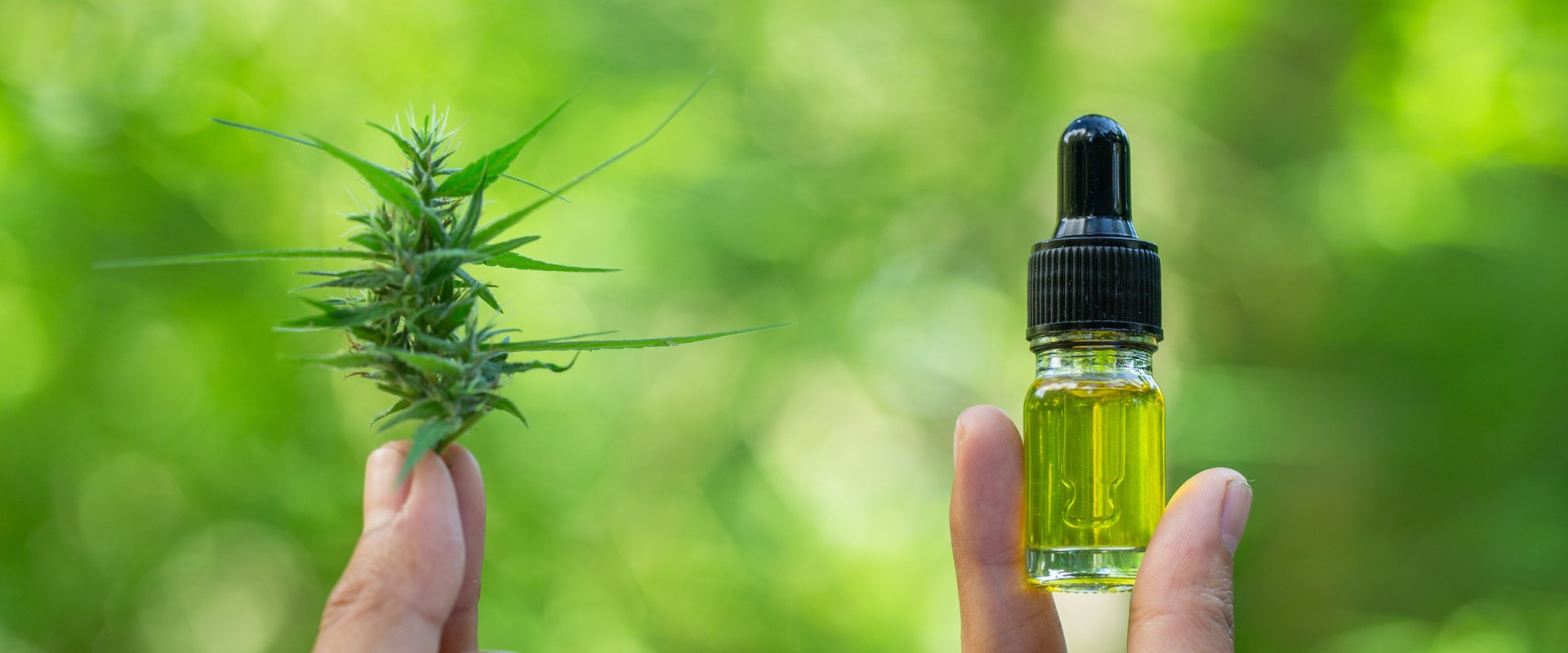 The Ultimate Guide to Choosing the Right Form of CBD for Maximum Effectiveness