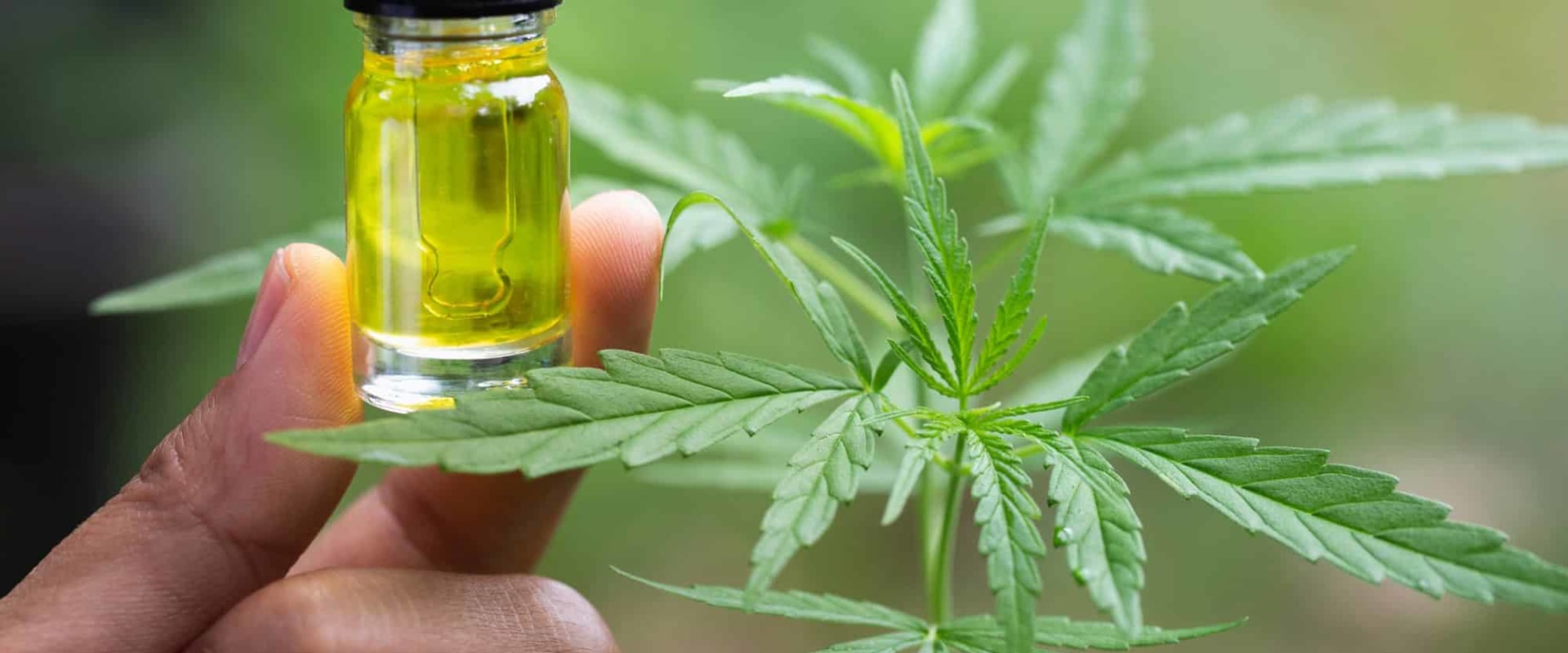 The Truth About CBD and Marijuana: Debunking Common Misconceptions