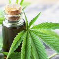 The Ultimate Guide to CBD: What You Need to Know