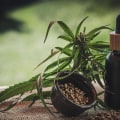 The Truth About CBD: Is it Really a Drug?