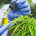 The Truth About CBD and Drug Tests: What You Need to Know