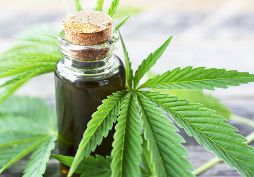 The Ultimate Guide to CBD: What You Need to Know