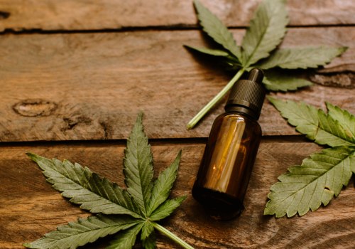 CBD vs Medical Marijuana: What You Need to Know