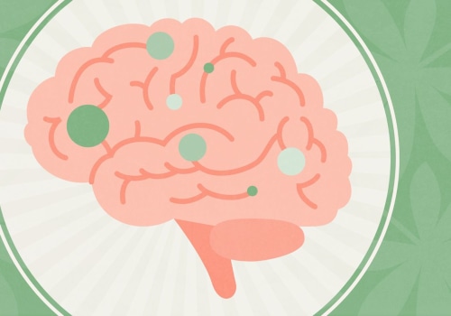 The Fascinating Effects of CBD on Brain Function